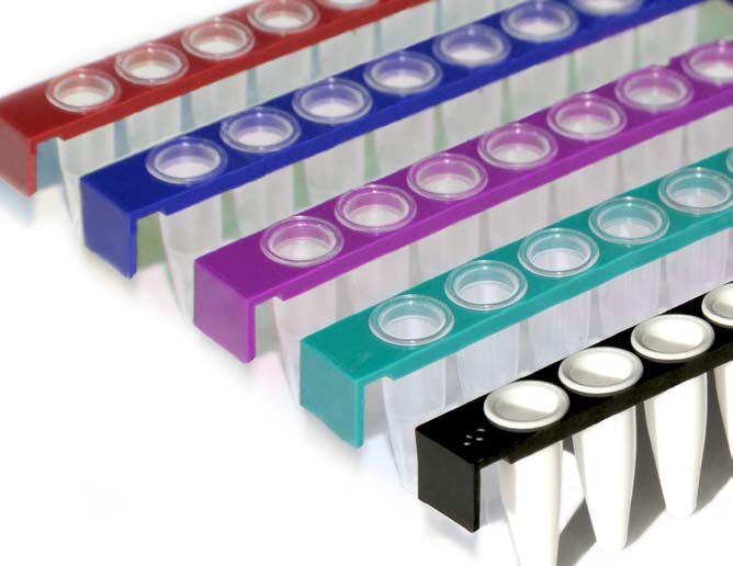 FrameStrips